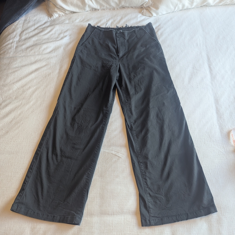 Wild Fable Charcoal Wide-Leg Chinos